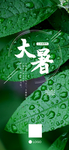 手机壁纸