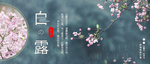 白露海报