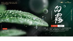 白露海报
