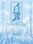 白露海报