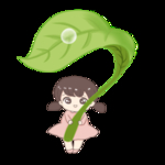 白露海报