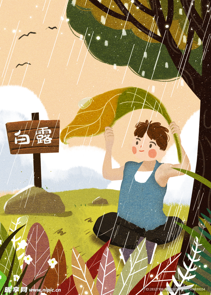 白露海报