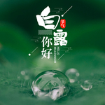 白露海报