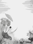 白露海报