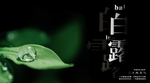 白露海报
