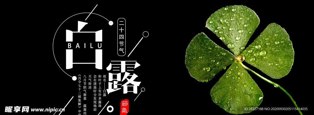 白露海报