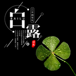 白露海报