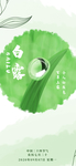 白露海报