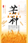 芒种