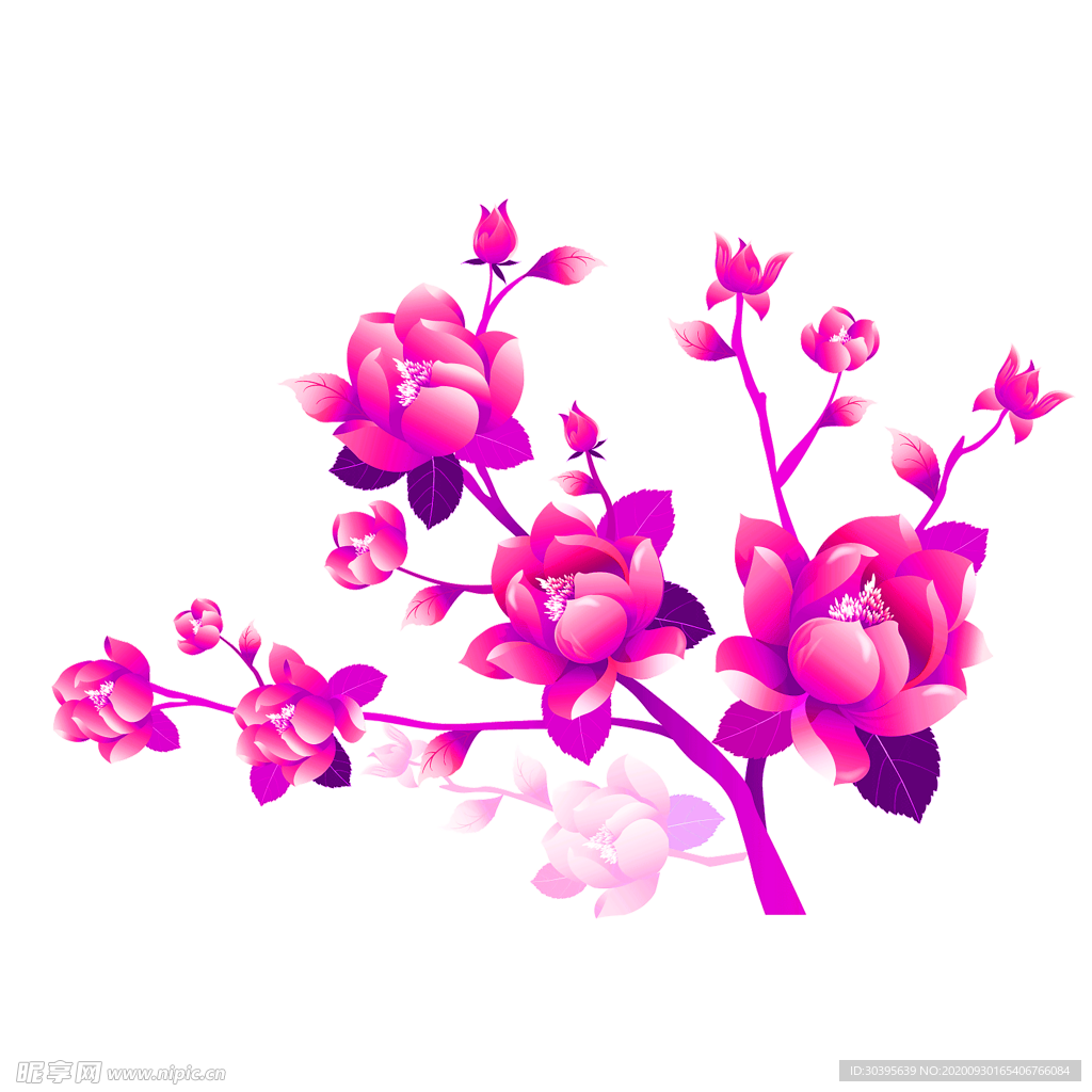花素材