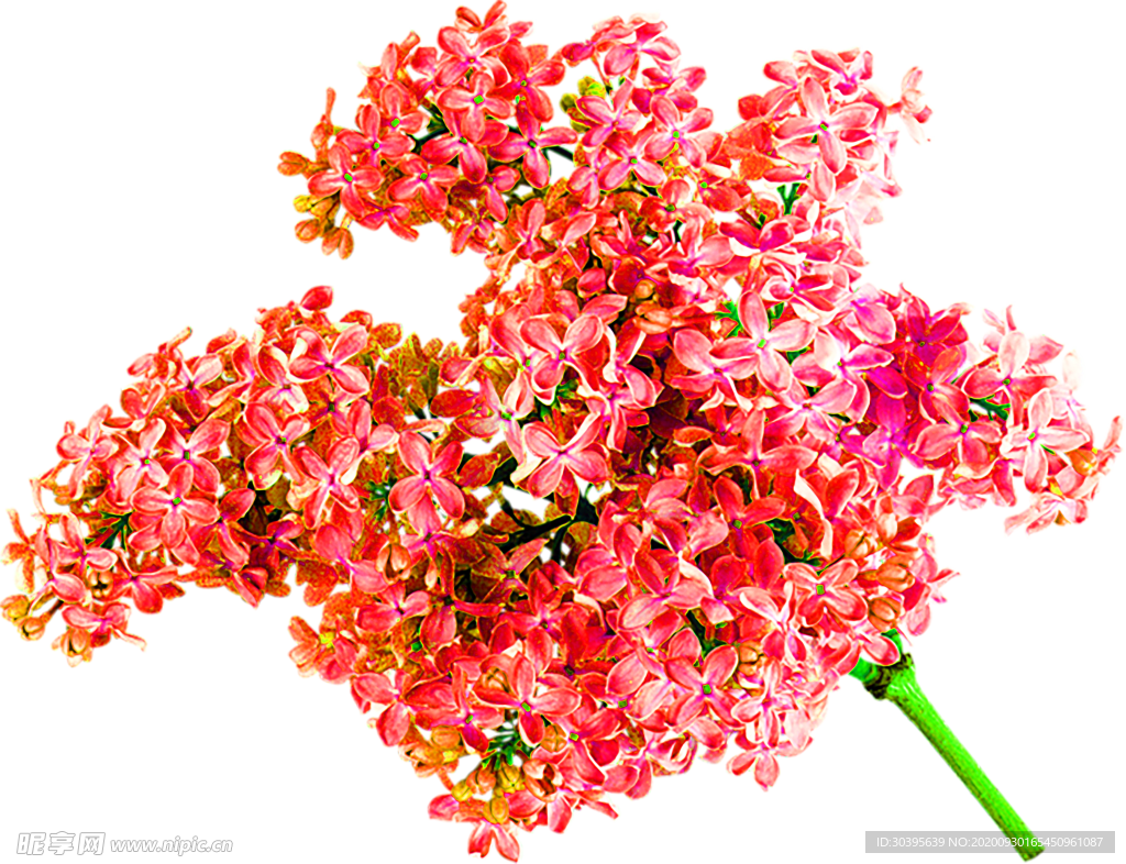 花素材