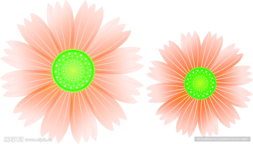 花素材