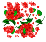 花素材