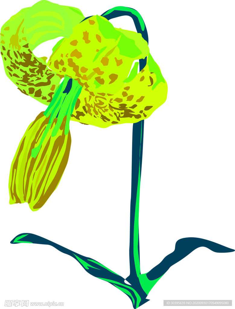 花素材