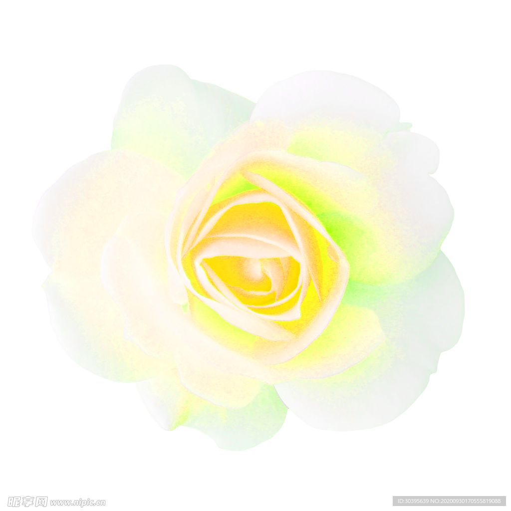 花素材