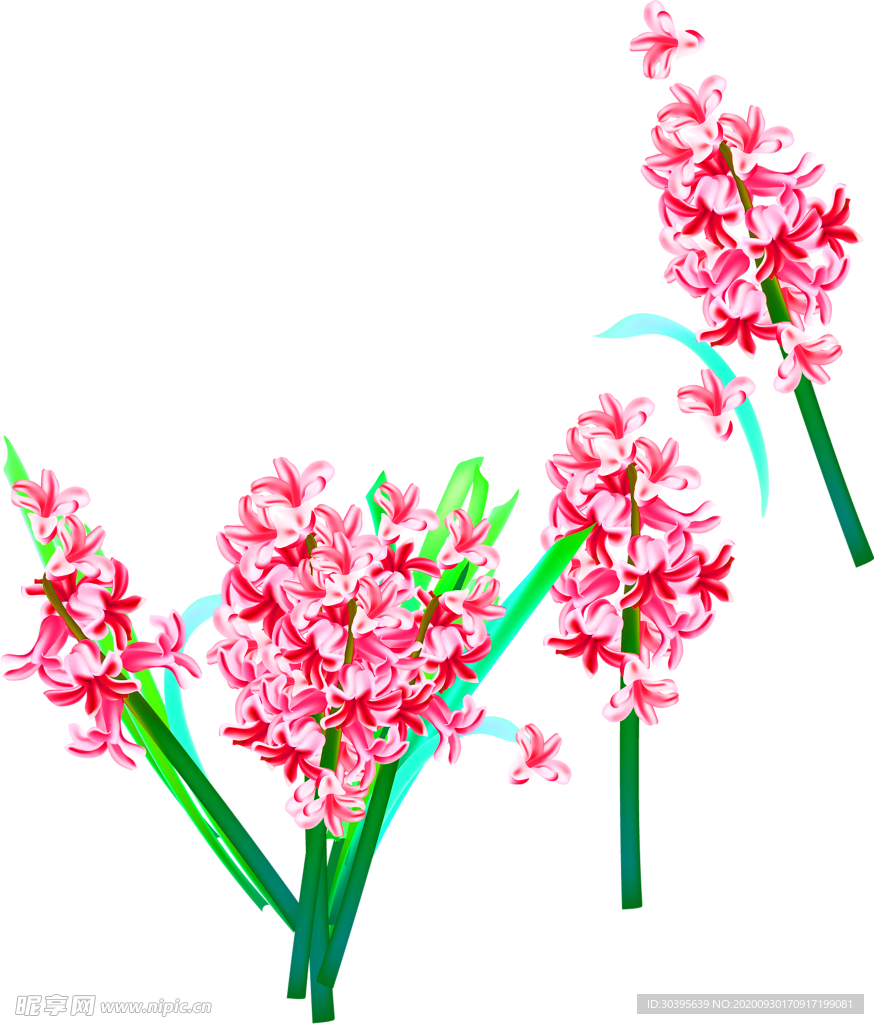 花素材