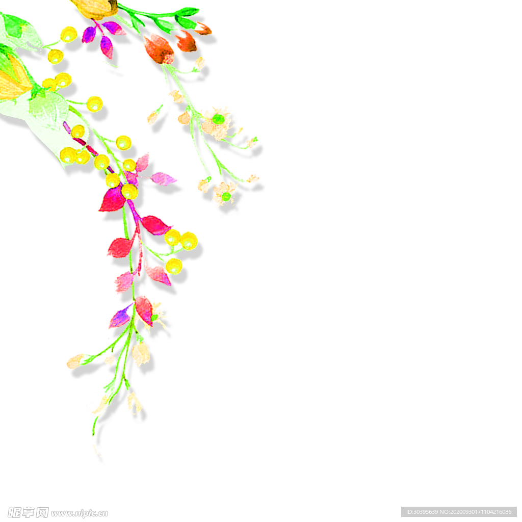 花素材