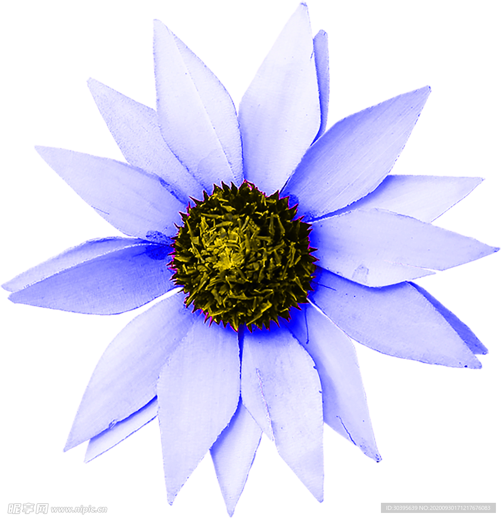 花素材
