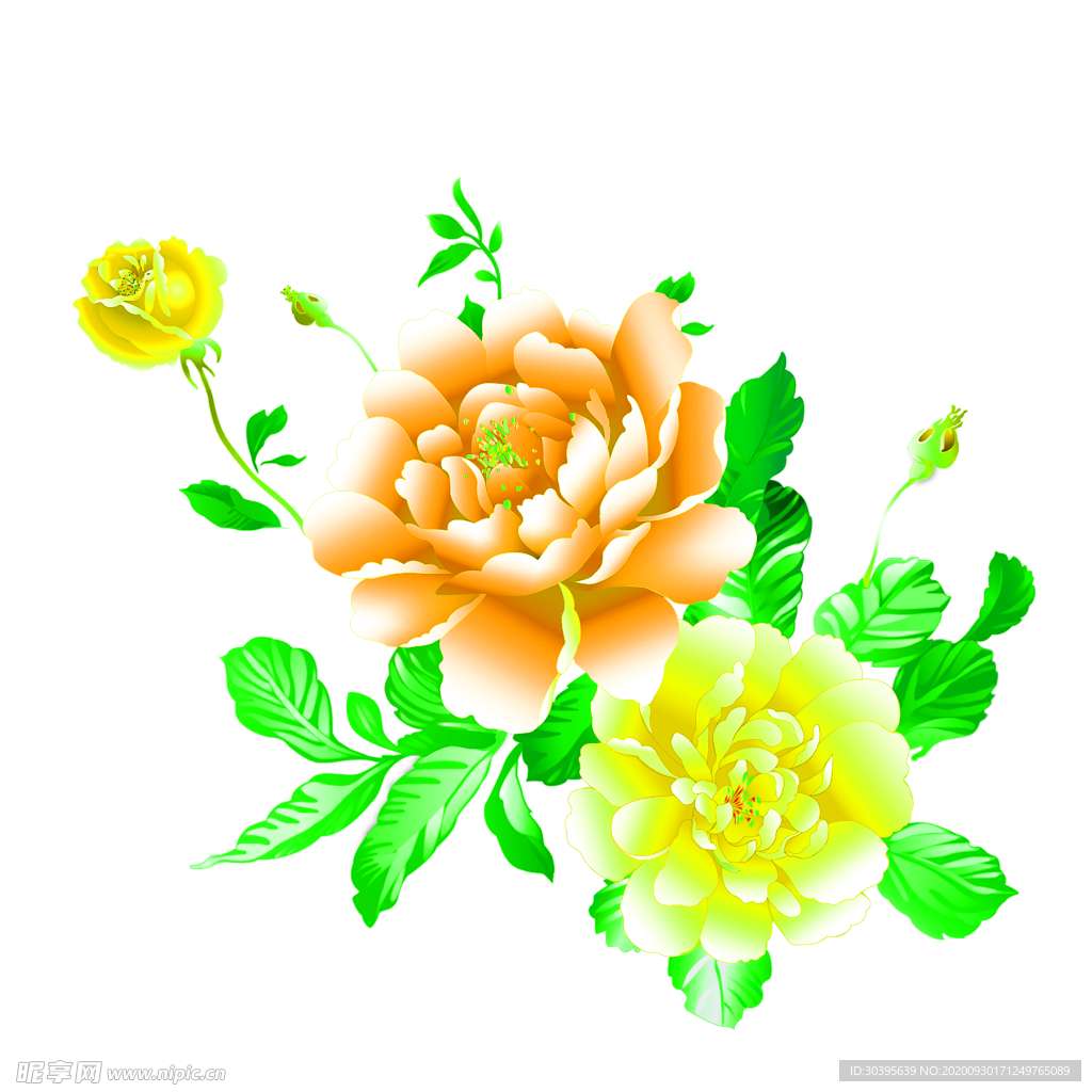 花素材