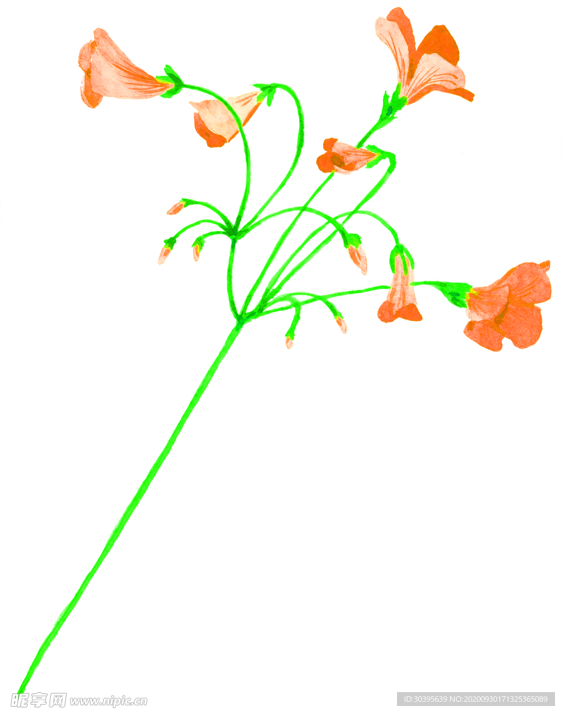 花素材