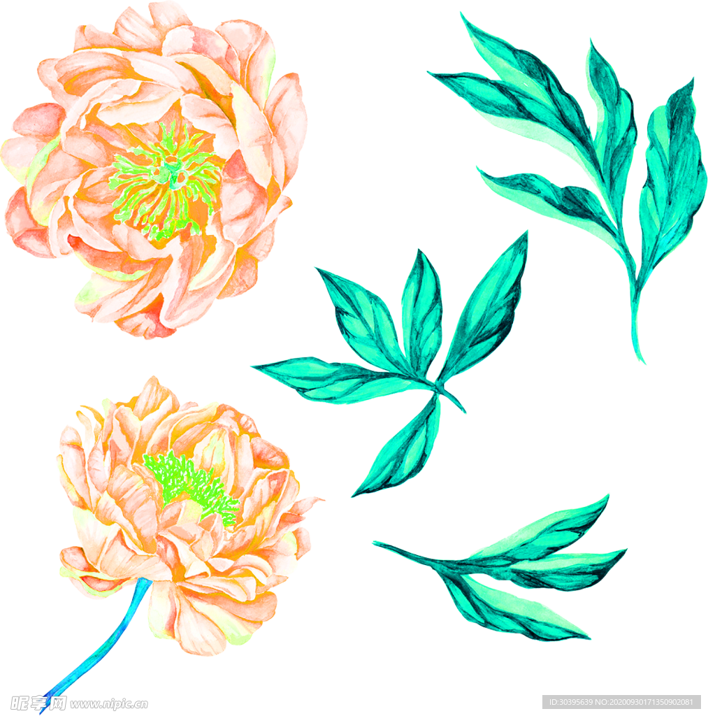 花素材