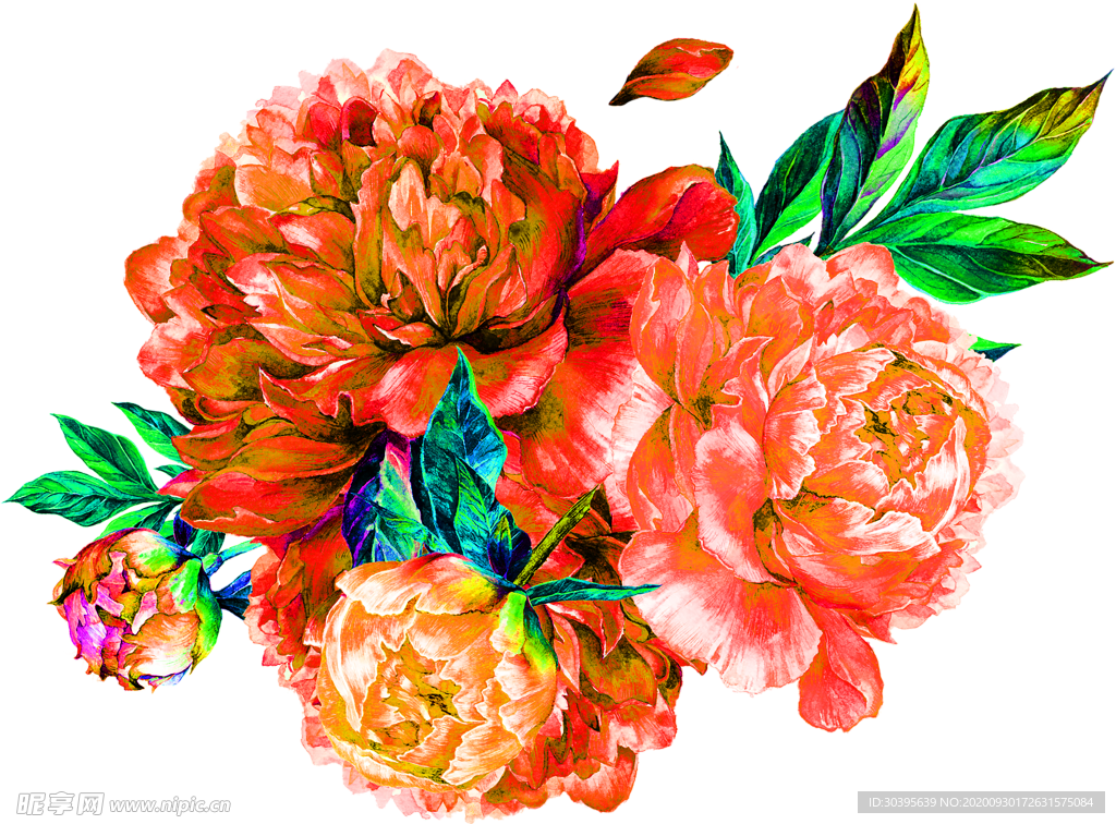 花素材