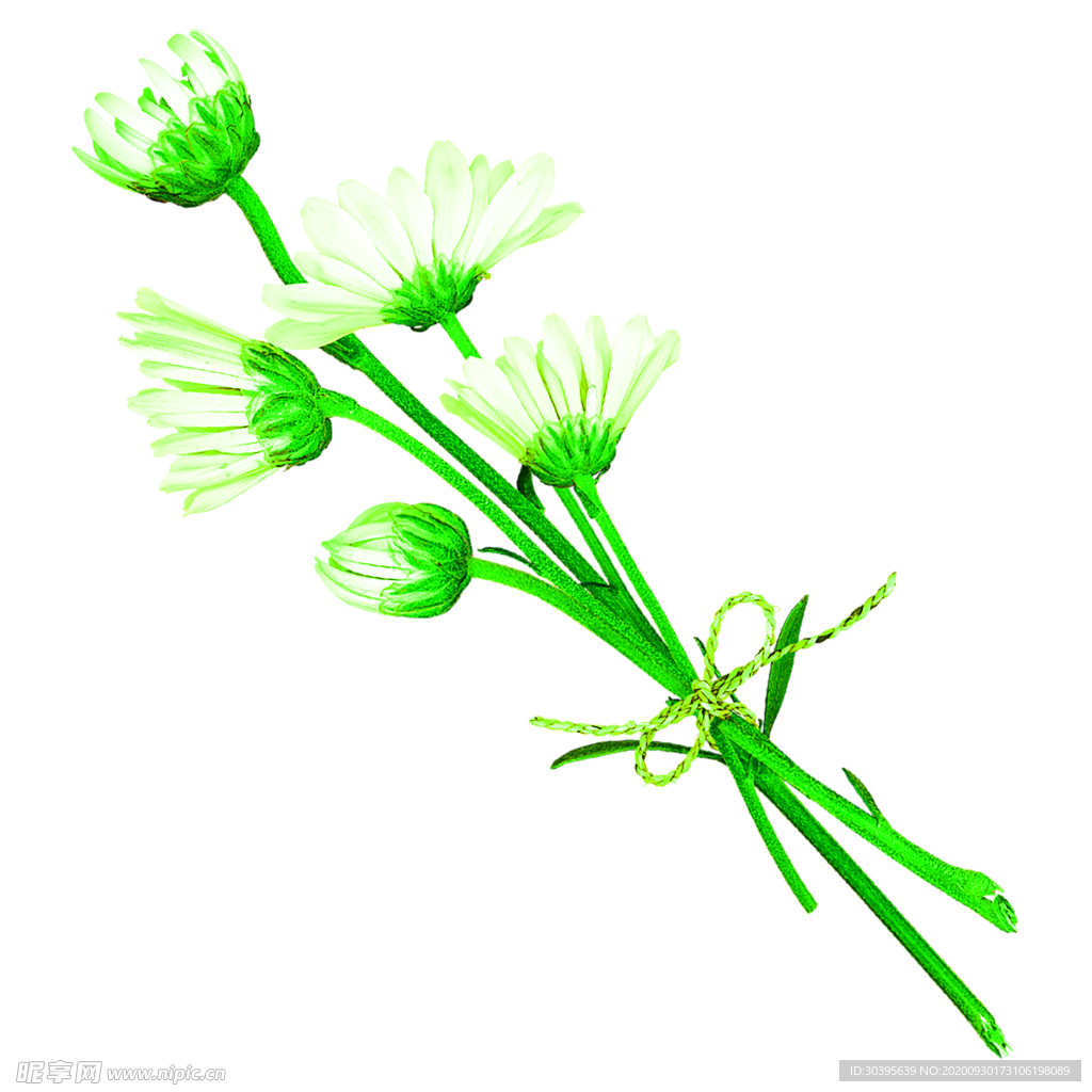 花素材