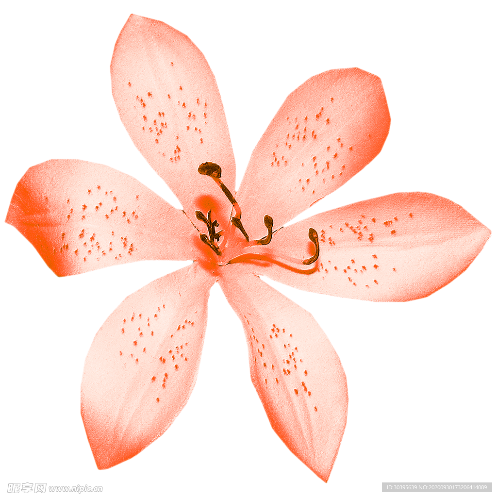 花素材