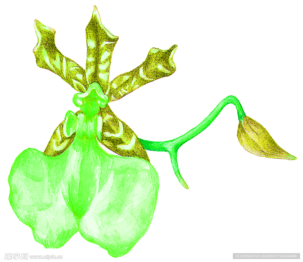 花素材
