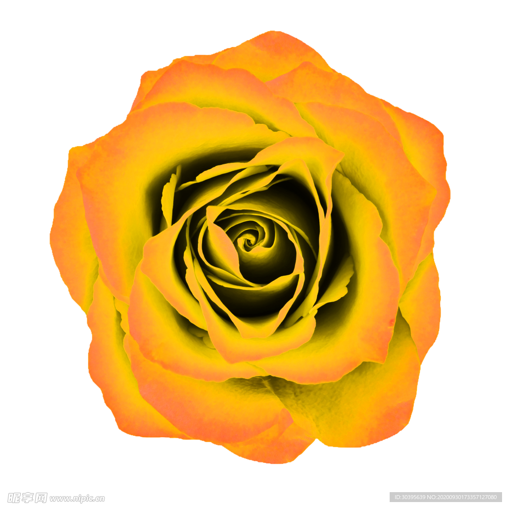 花素材