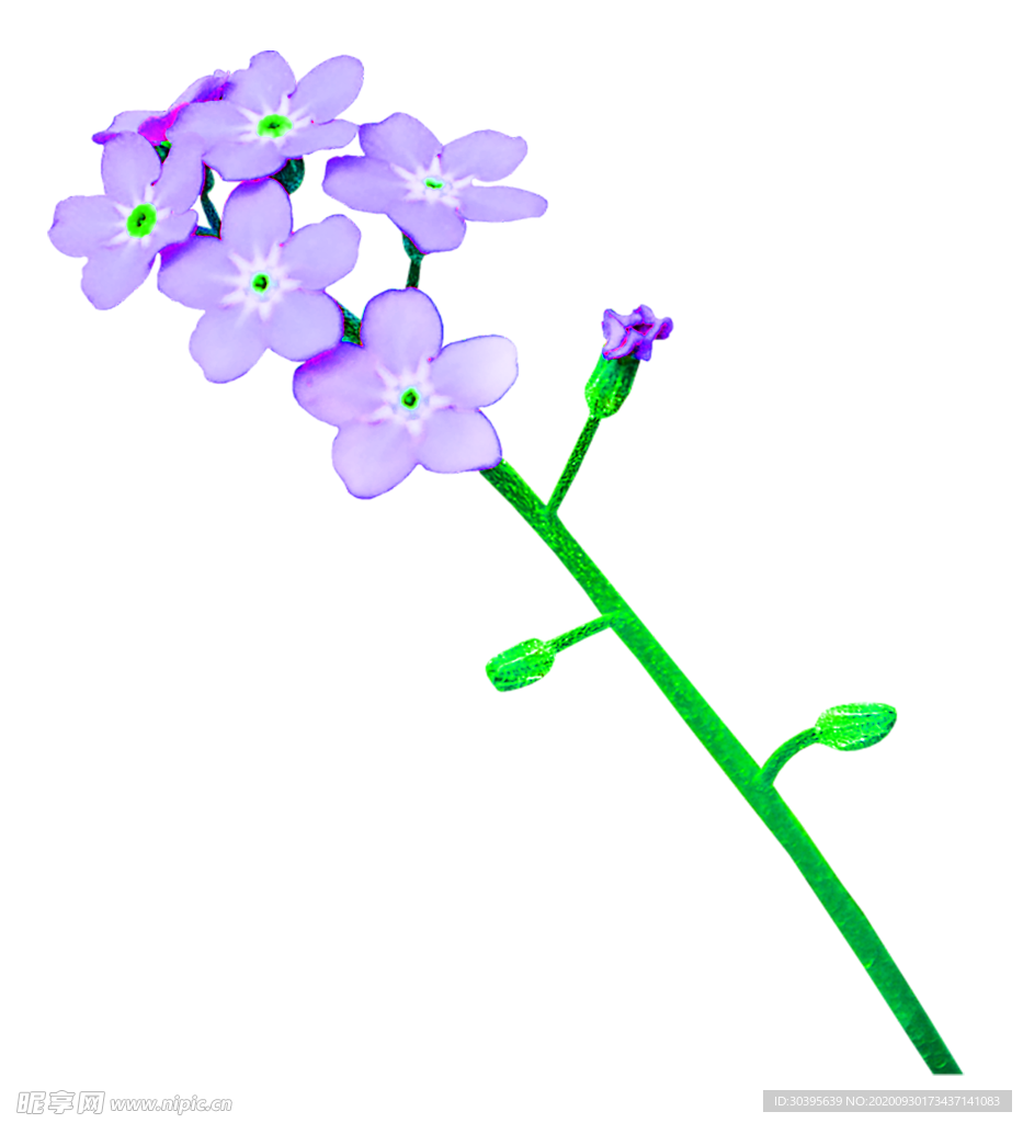 花素材