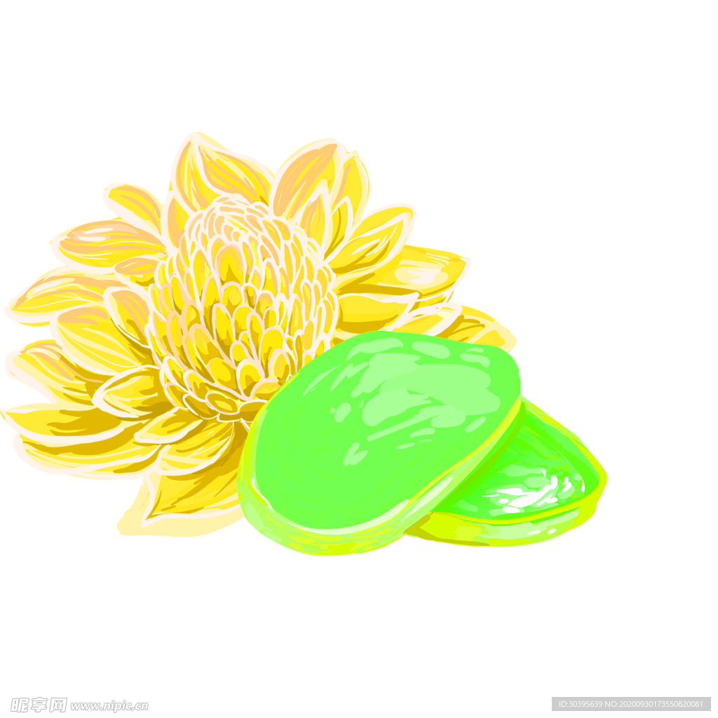花素材