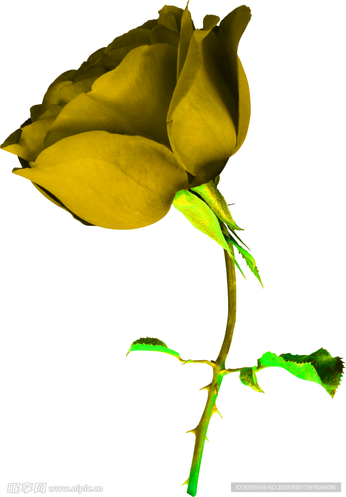 花素材