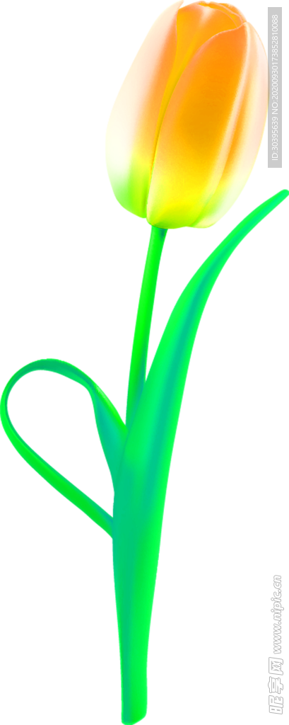 花素材