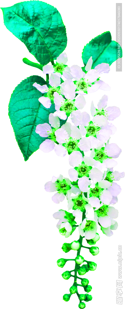 花素材