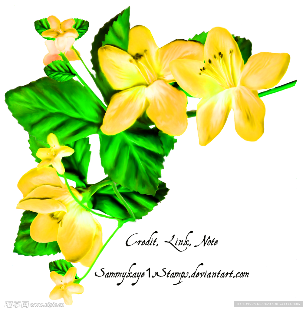 花素材