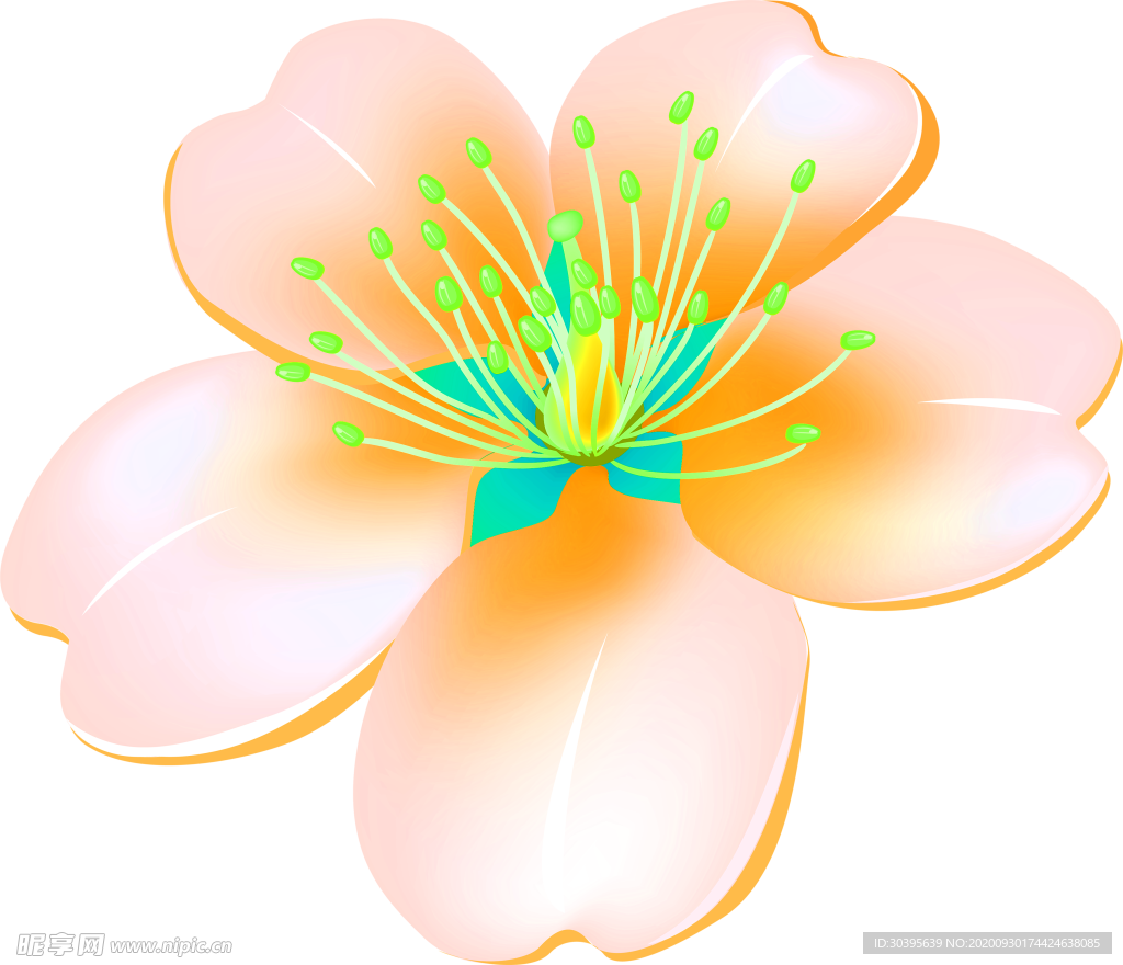 花素材