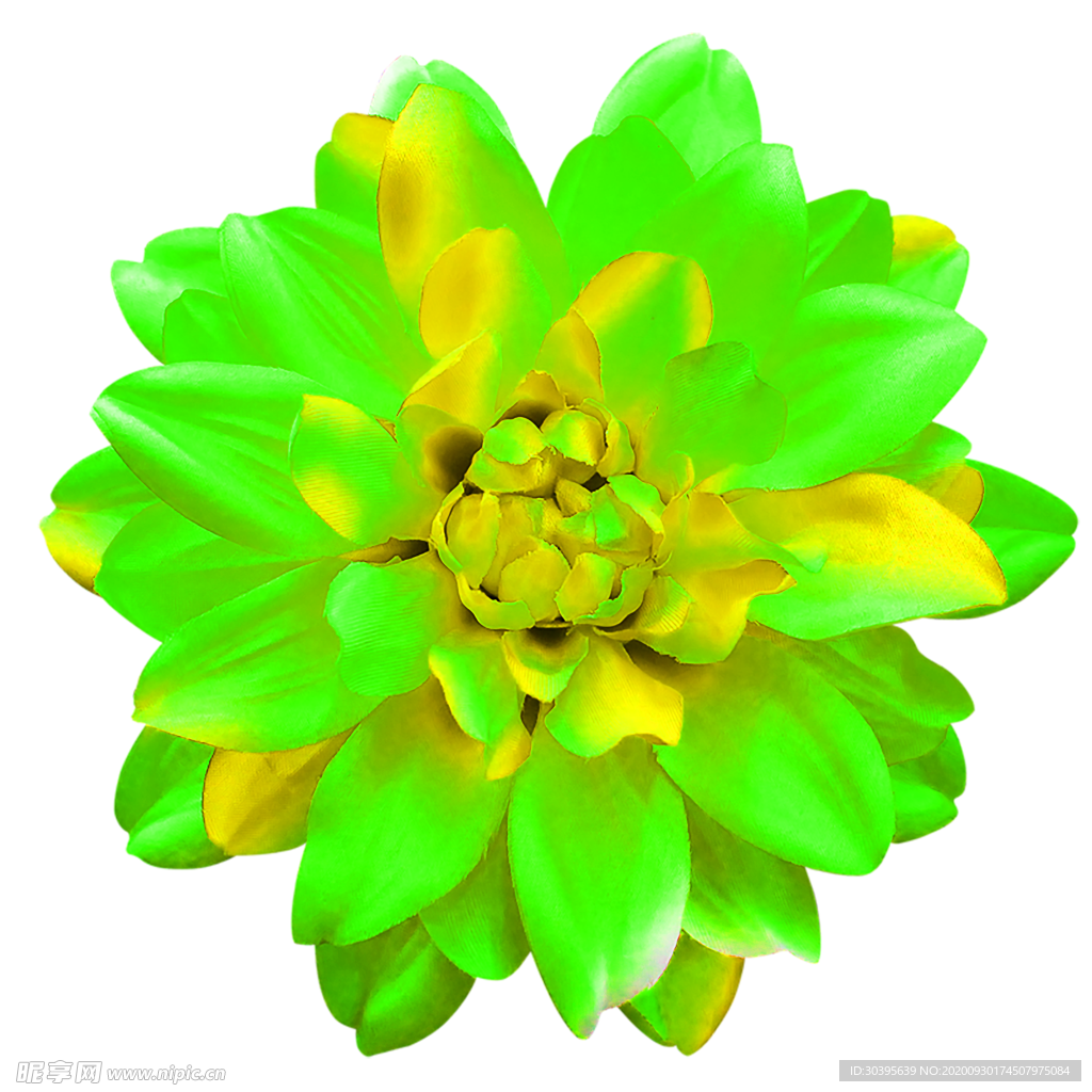 花素材