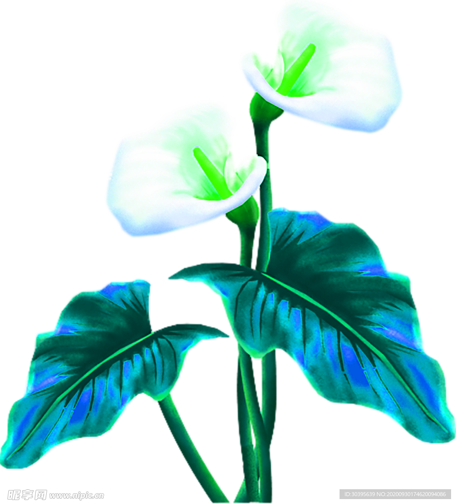 花素材