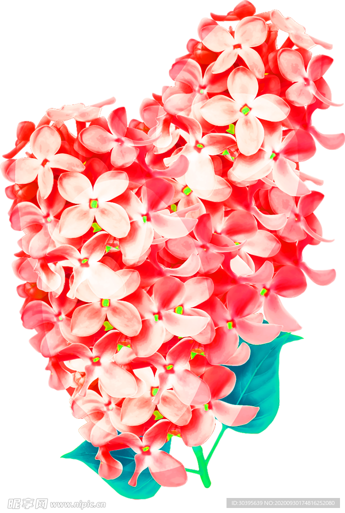 花素材