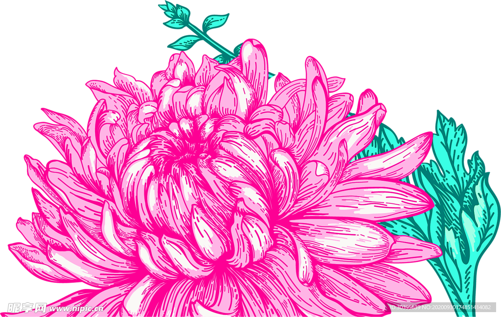 花素材