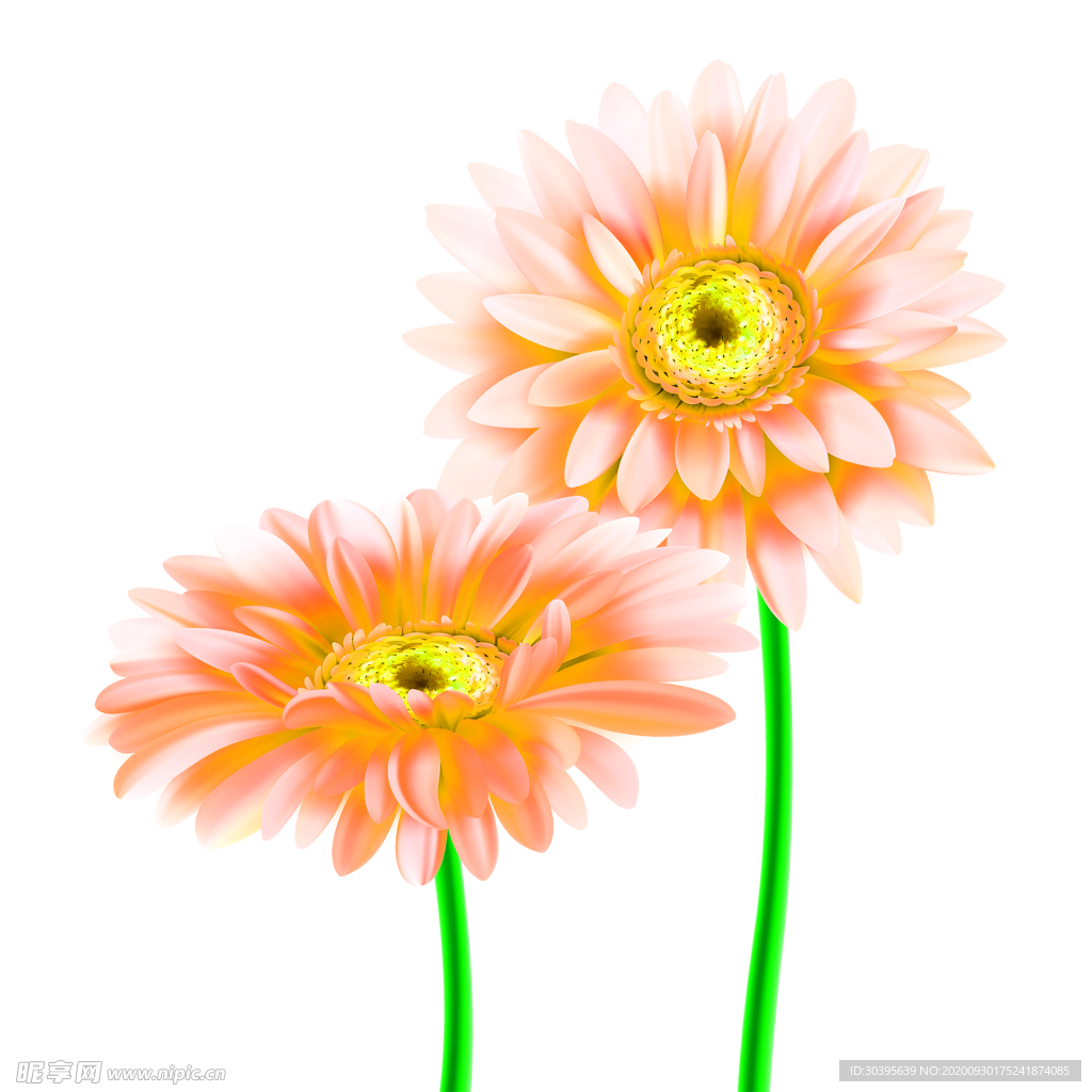 花素材