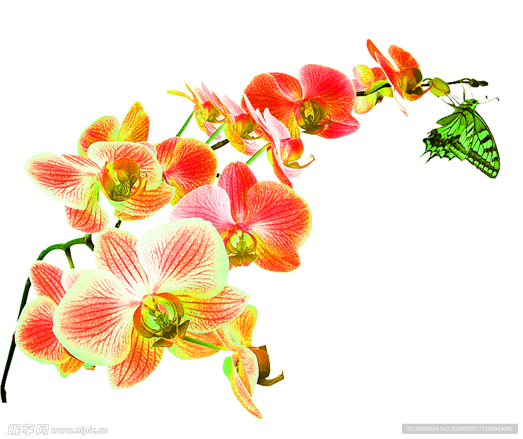 花素材