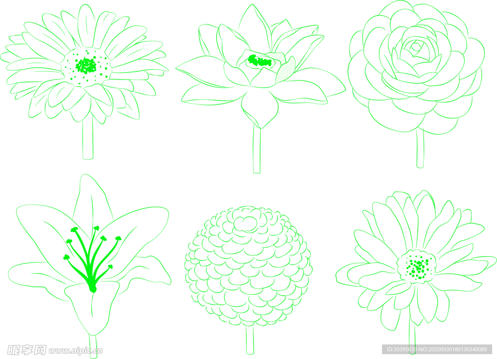 花素材
