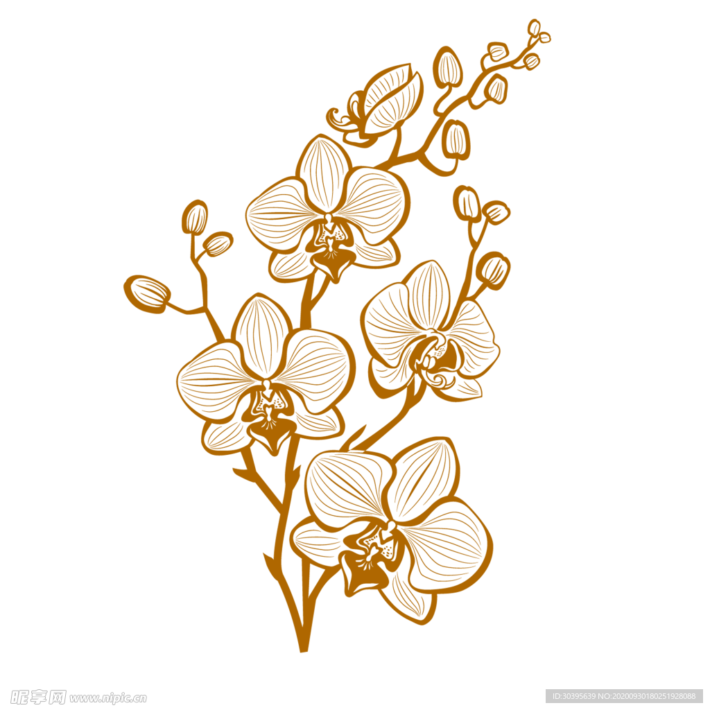 花素材