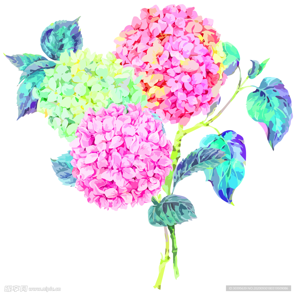 花素材