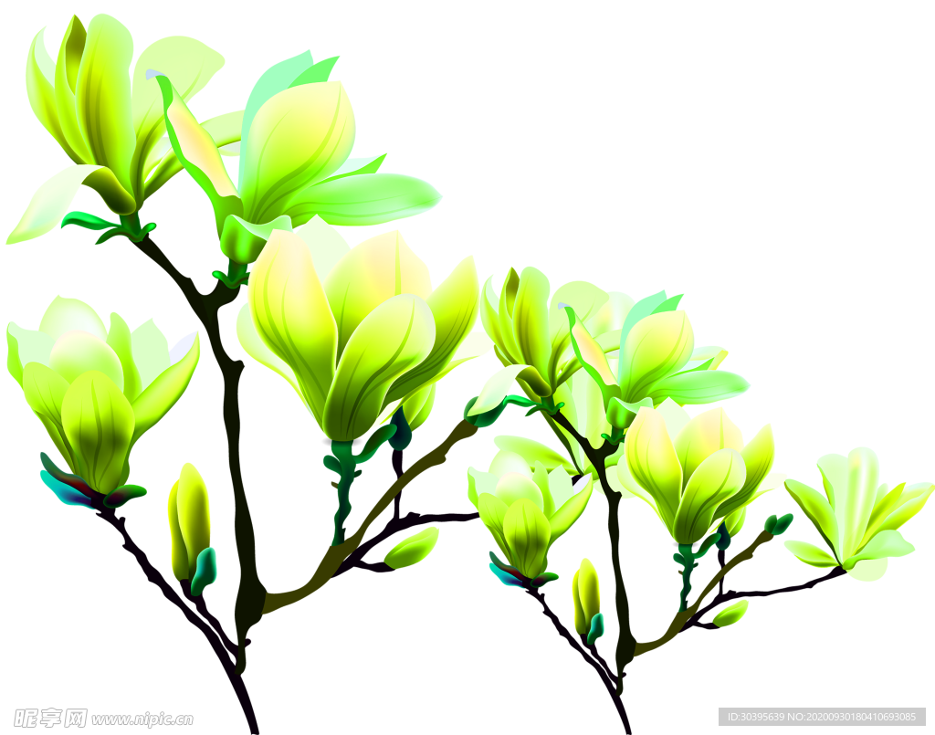 花素材