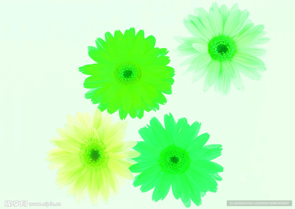 花素材
