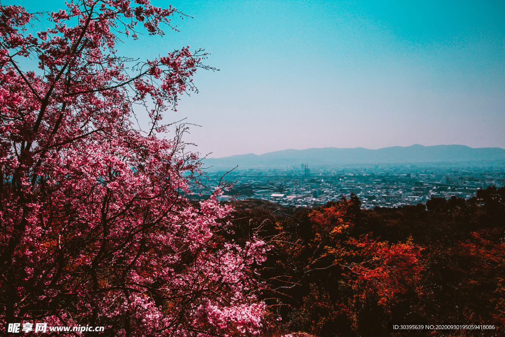 城市