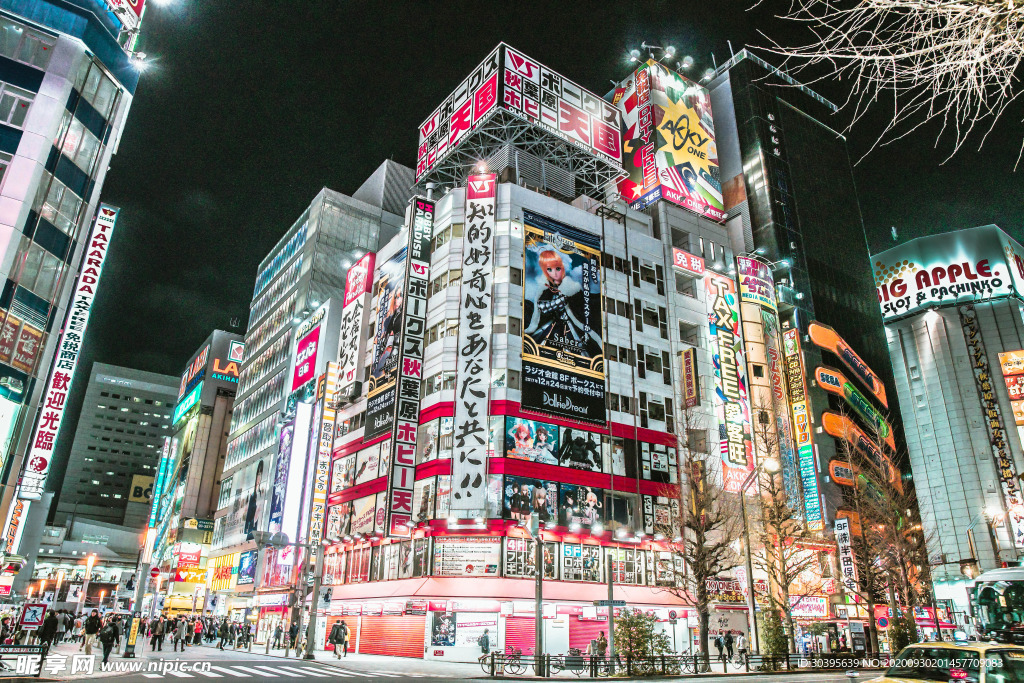 城市